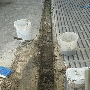 20160719-1-1