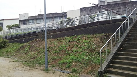 藤棚撤去工事